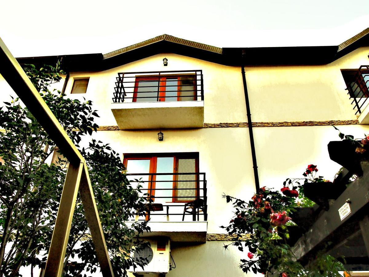 Vila Vița de Vie